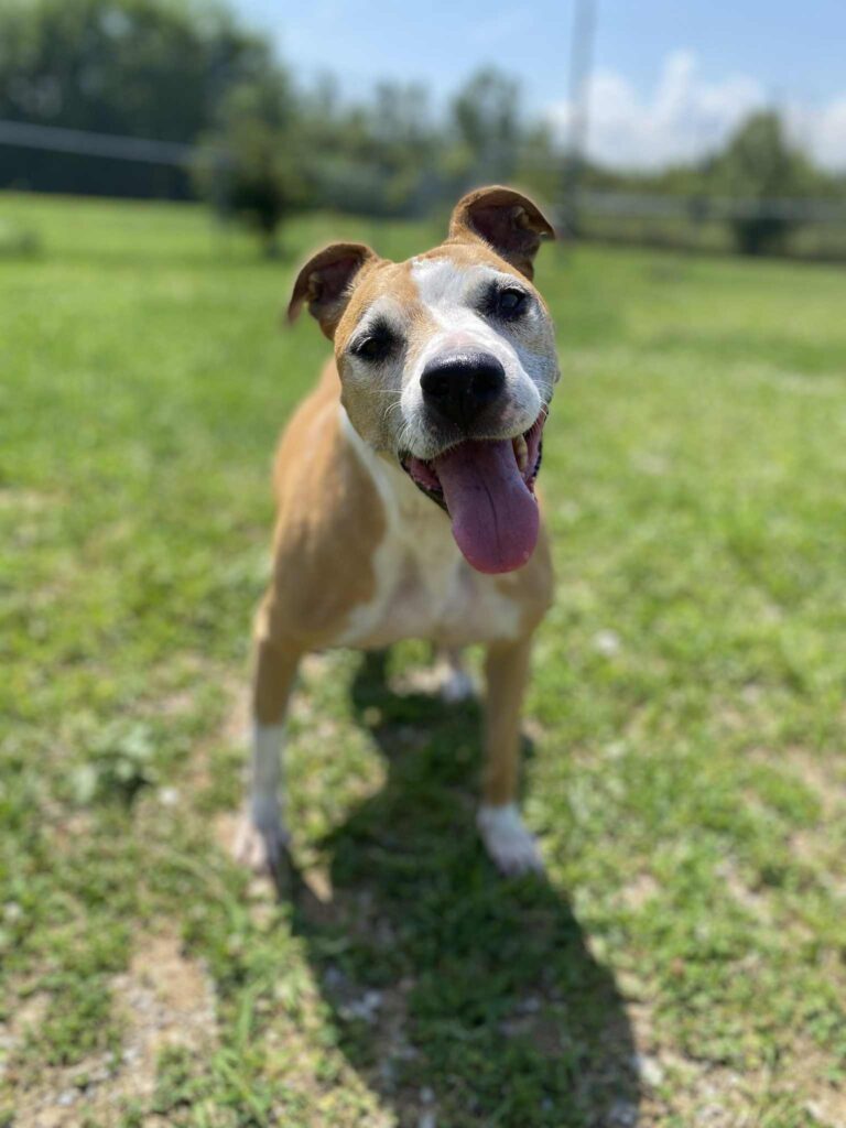 d5a5707a-febb-4c82-94e2-1877615f86f4