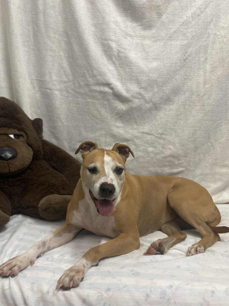 de0d509c-d762-4b6b-9819-1106a92dea0f