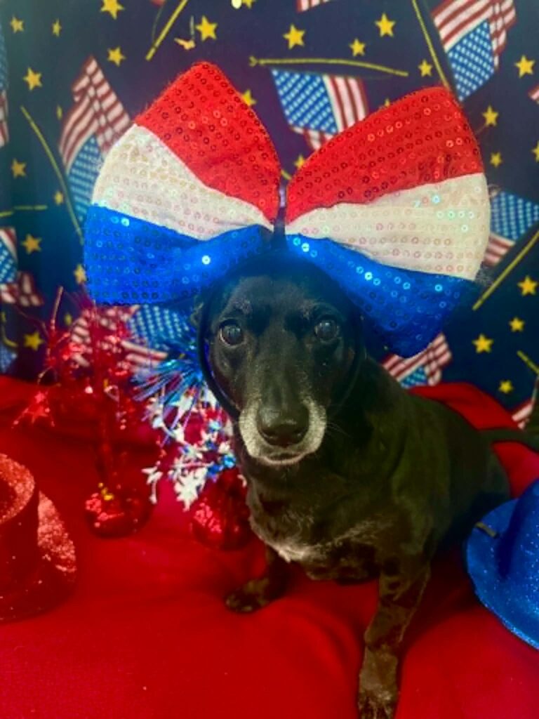 Emmy Lou