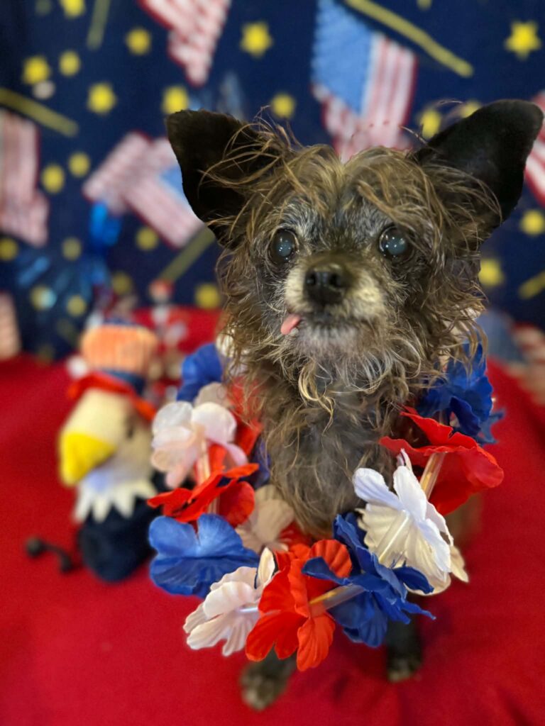Minnie