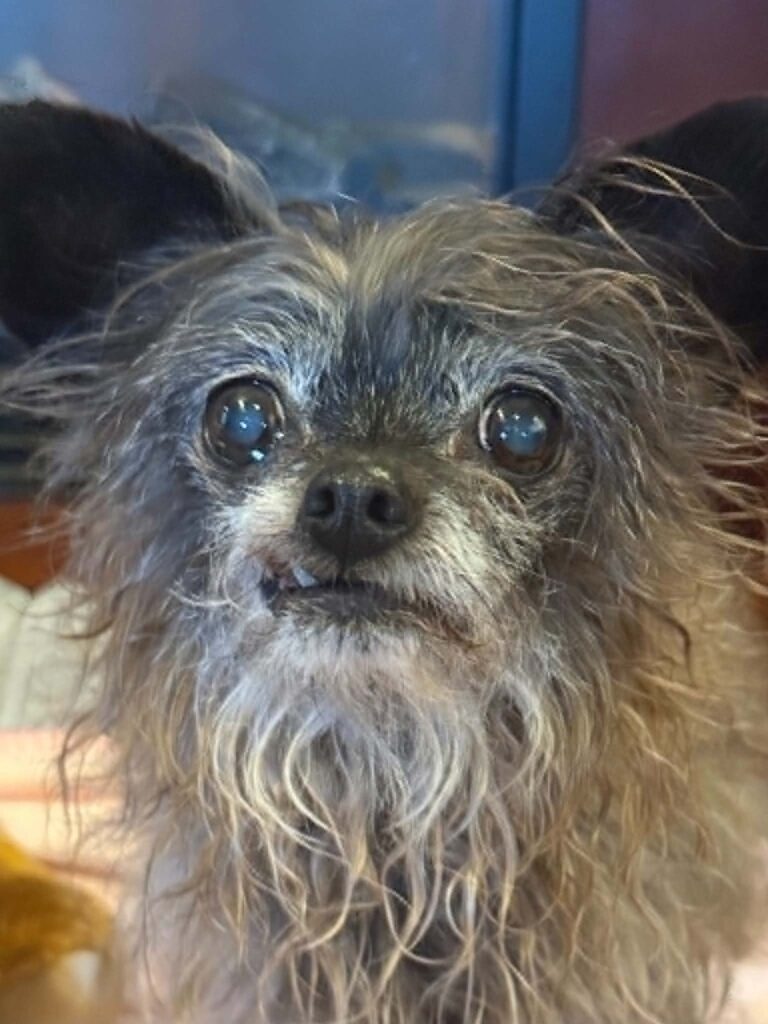 Minnie