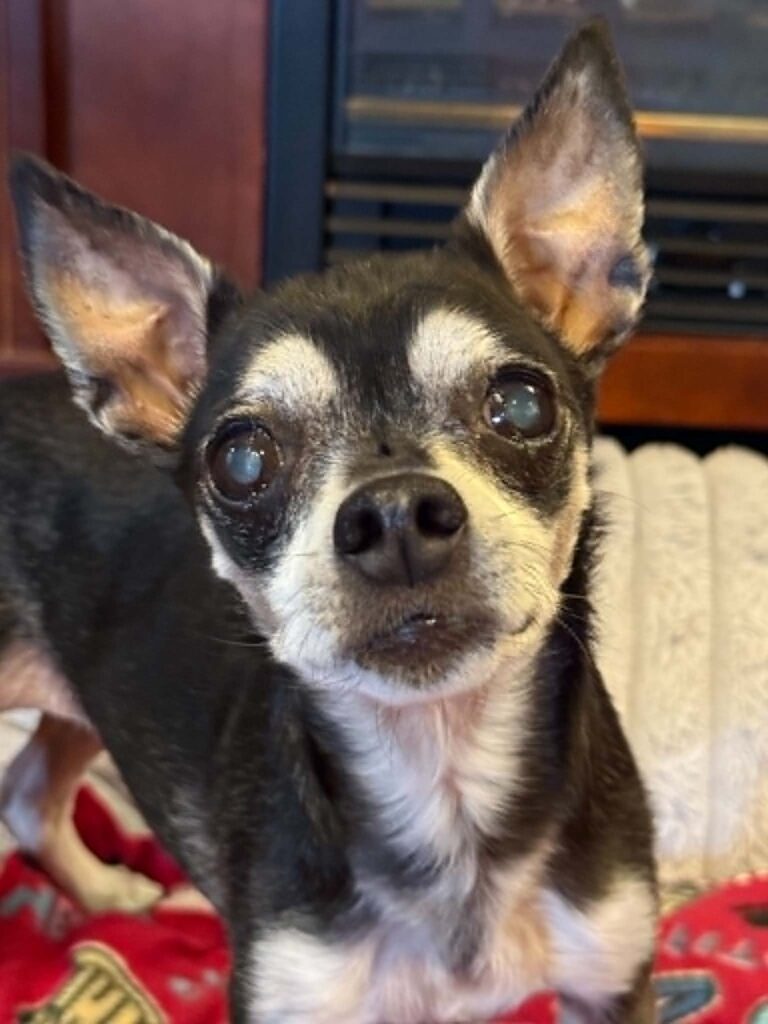 Lucy